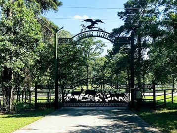 entry gates