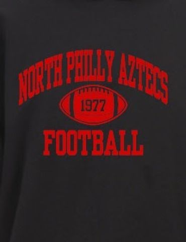 Vick dedicates restored field to North Philly Aztecs