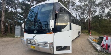 White tour bus parked in a wooded area.