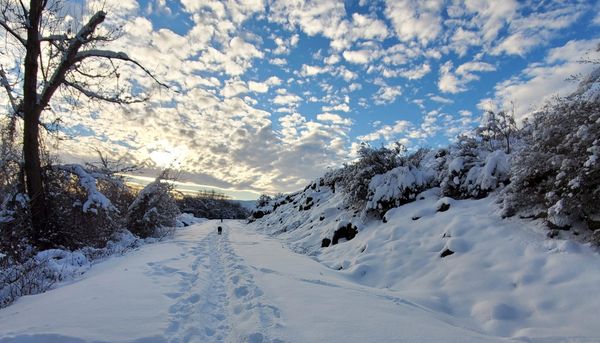 snow covered bridge, snow shoes, walking trail, winter in idaho, idaho 