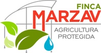 Finca Marzav, LLC