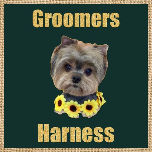 Groomers Harness Grooming Harness