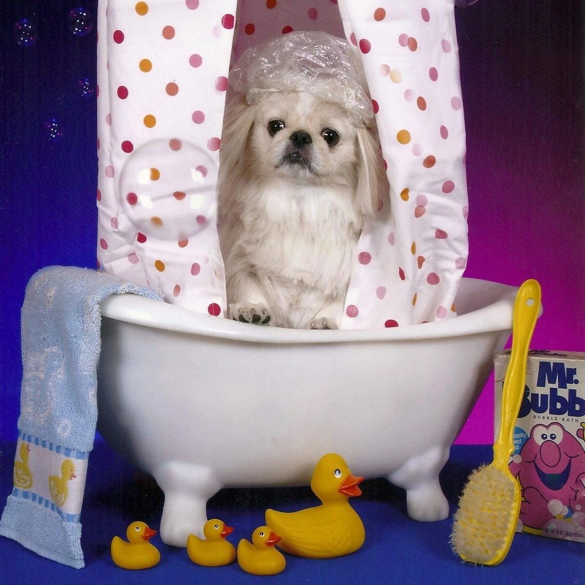 Groomers Harness Grooming Harness