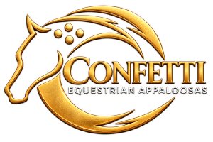 Confetti Equestrian
