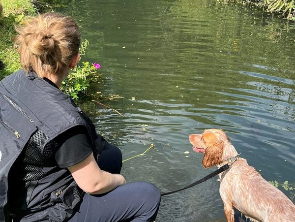 Person with a dog by a calm river, enjoying nature.