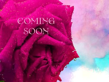 Close-up of a dew-covered pink rose with 'COMING SOON' text on a pastel background.