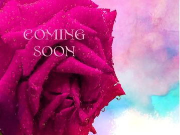 Close-up of a dew-covered pink rose with 'COMING SOON' text on a pastel background.