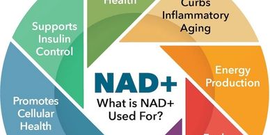 Image of NAD+ benefits