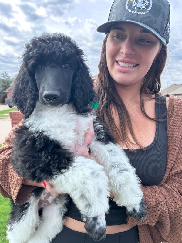 Woman holding a fluffy black and white puppy outdoors.