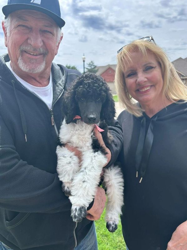 Smiling couple holding a black and white poodle puppy outdoors.
