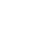 Scottsdale Coaching