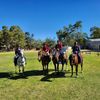 Pines Working Equitation Group Inc
