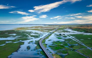 A long road cuts through a vast wetland under a blue sky.