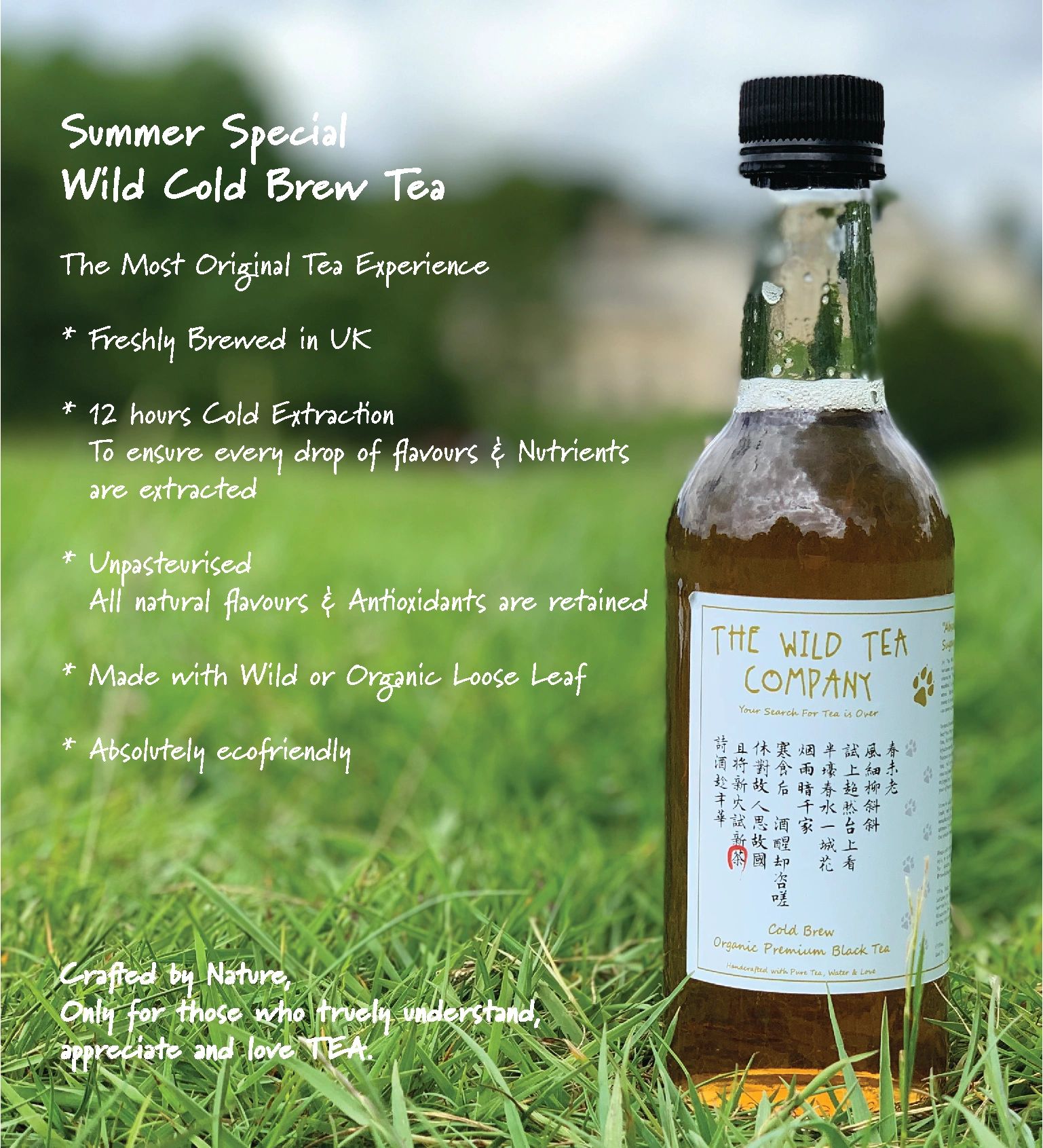 Cold Brew Tea