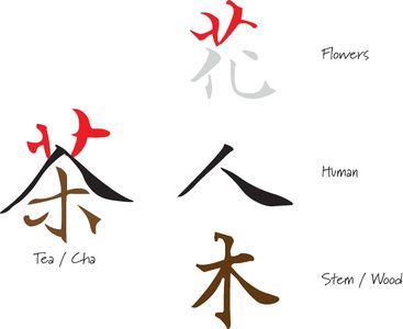 The Wild Tea Company; The meaning of tea; Chinese tea character