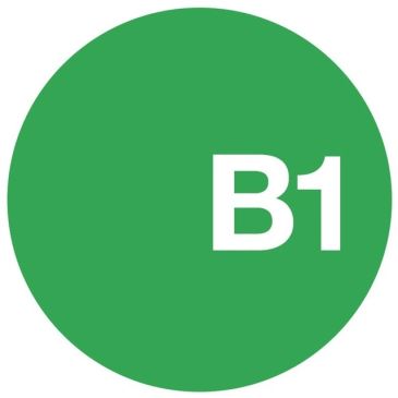 Green circle with white text 'B1' inside.