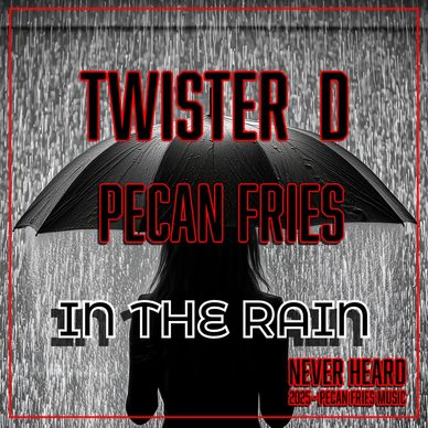 Twister D and Pecan Fries Music In The Rain  Cover