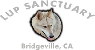 Lup Sanctuary And Rescue
