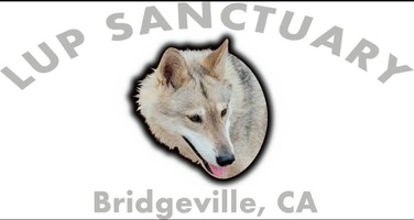 Lup Sanctuary And Rescue