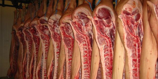 A line of raw pork meat.