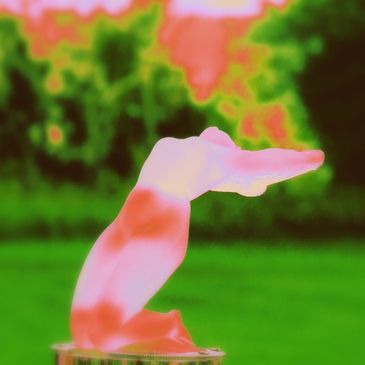 Lalique glass hood ornament 