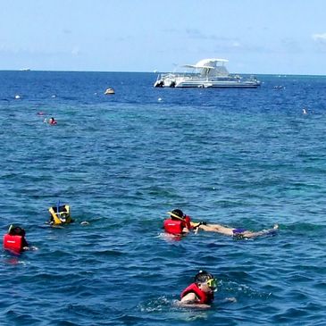 Snorkelling 