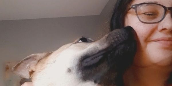 Dog licking a woman's cheek lovingly.