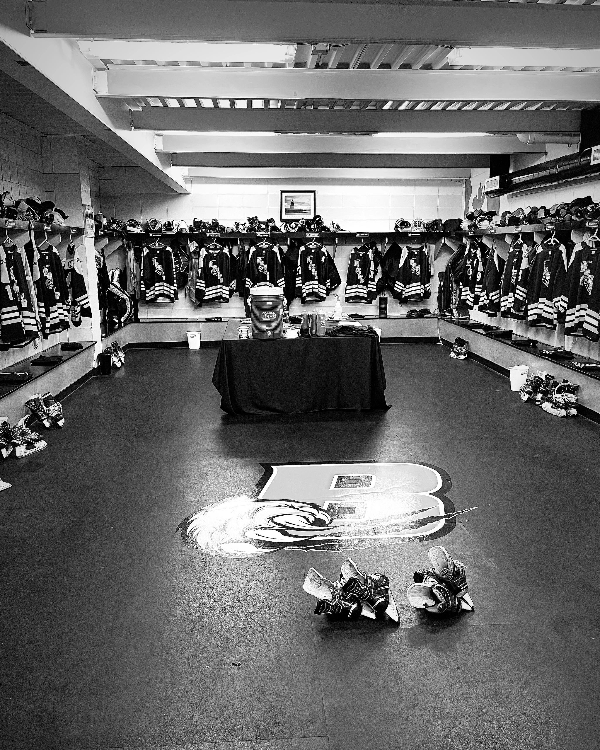 camrose-senior-aa-bruins-senior-aa-hockey-games-entertainment