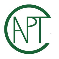 APT Consulting LLC