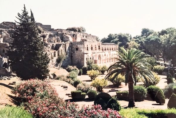 Ruins of an ancient building surrounded by gardens.