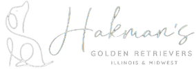 Hakman's Golden Retrievers
-Illinois and Midwest-