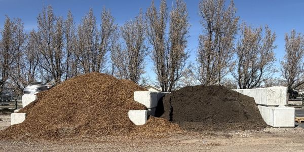 Two large piles of organic material outdoors.