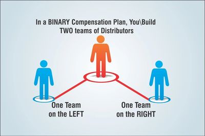 Binary System Compensation Plan