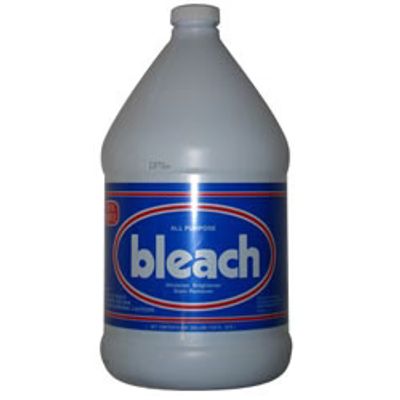 Bleach Container