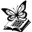 VA Bookkepping Services