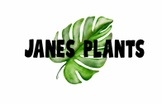 Janes Plants LTD