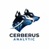 Cerberus Analytic Group