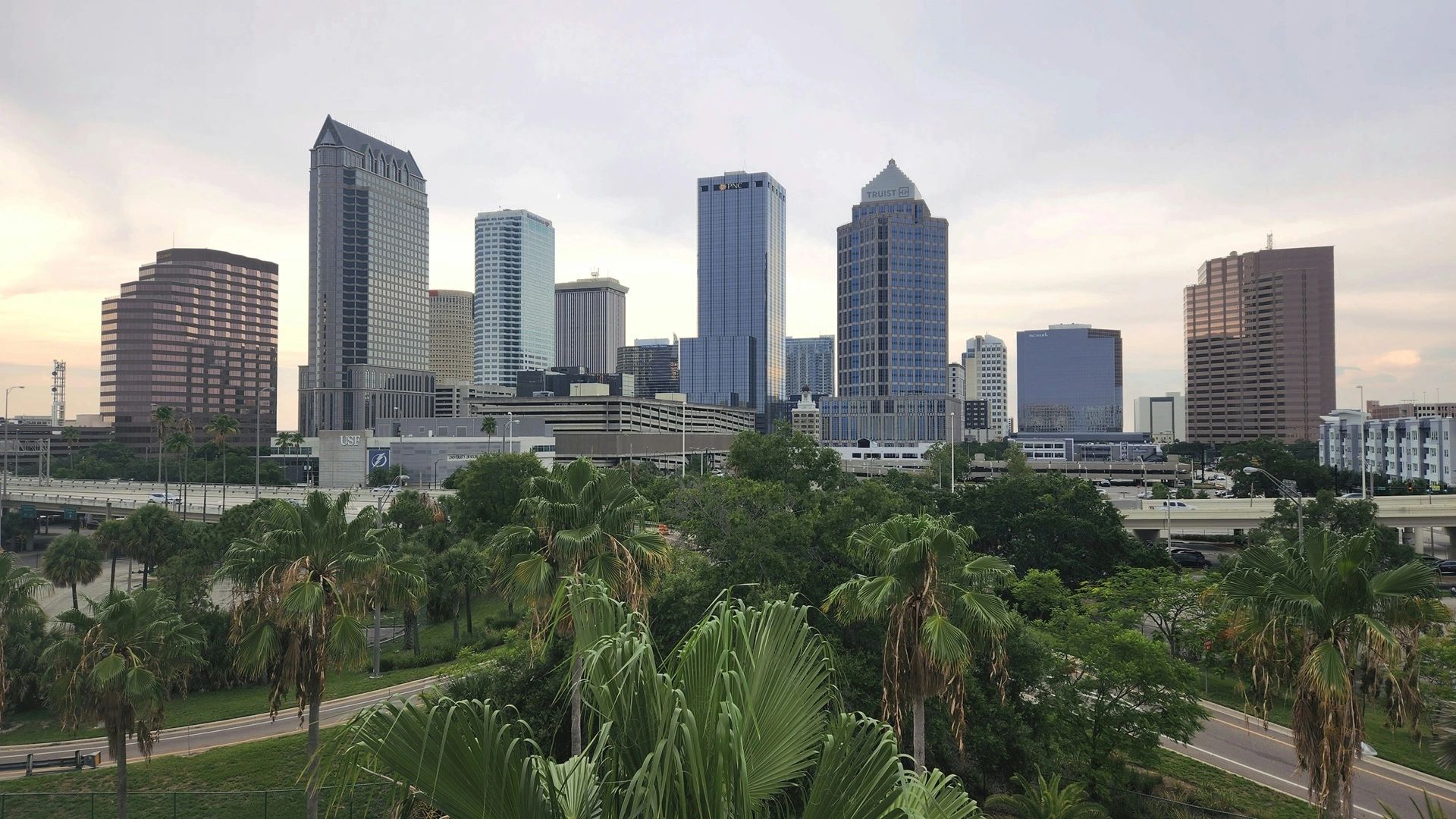 Tampa skyline with palm trees representing handyman and remodeling services across Tampa Bay
