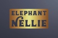 Elephant Nellie - Atlanta Rock, Blues and Soul Cover Band