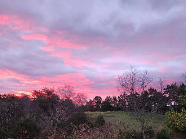 Pink and purple sunset over a wooded landscape.