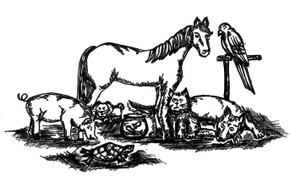 All Creatures Reiki