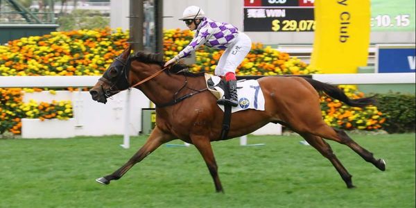 Radiant Steed winning in Hong Kong