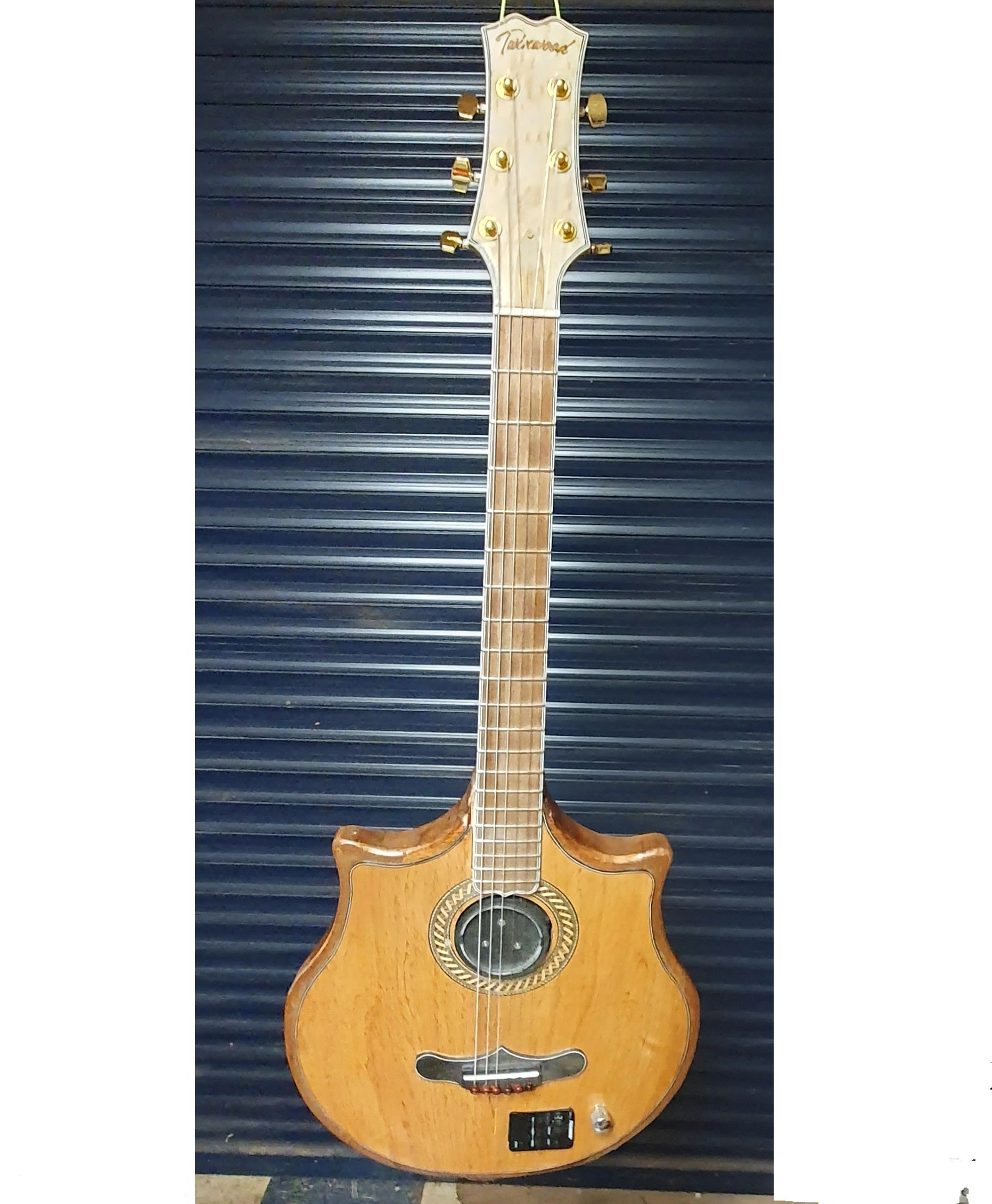 a unique and distictive electric guitar