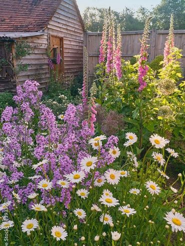 Cottage Garden