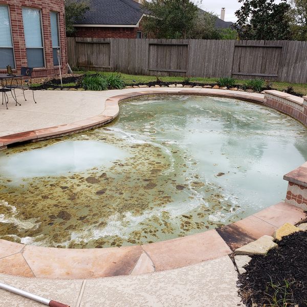 swimming pool repair of a green pool to blue pool in firethorne