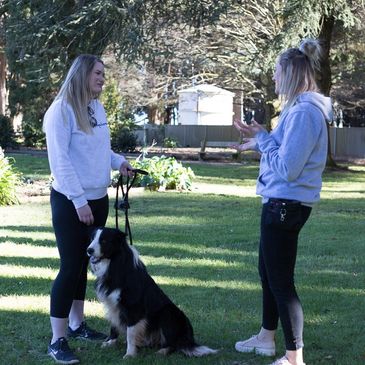 Private Dog Training Ballarat