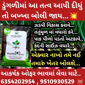 ઓરિજનલ  98% કોઈ પણ પાક હોઇ ઝળપથી વઘારવા માટે આ તત્વ ભૂલ્યાં વગર નાખી દેજો 
