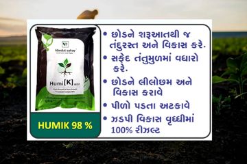 Humik 98% ઓરીજનલ તત્વ રિઝલ્ટ ની 100% ટકા ગેરંટી રિઝલ્ટ ન મળે તો પૈસા પાછા ✅