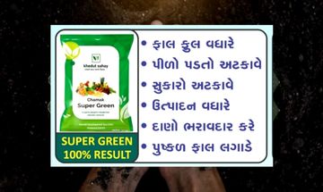 સુપર ગ્રીન દવા પુષ્કળ ફાલ ફૂલ લગાડે ઉત્પાદન વધારે લીલોતરી લાવે વજન વધારે 100% ટકા રિઝલ્ટ
