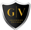 Seguridad profesional 